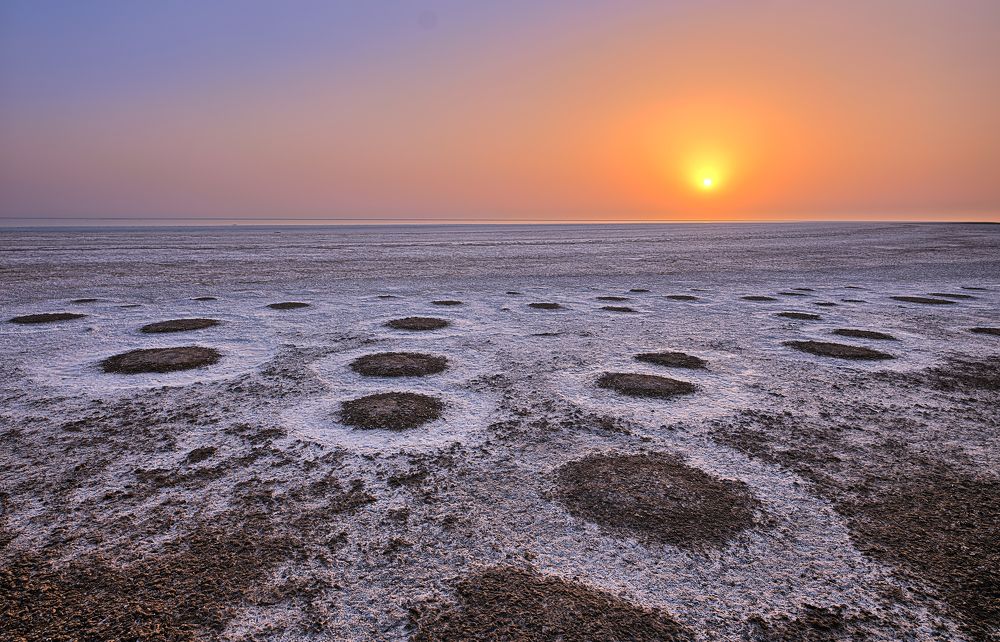 Abandoned Flamingo nesting site at the edge of white rann.