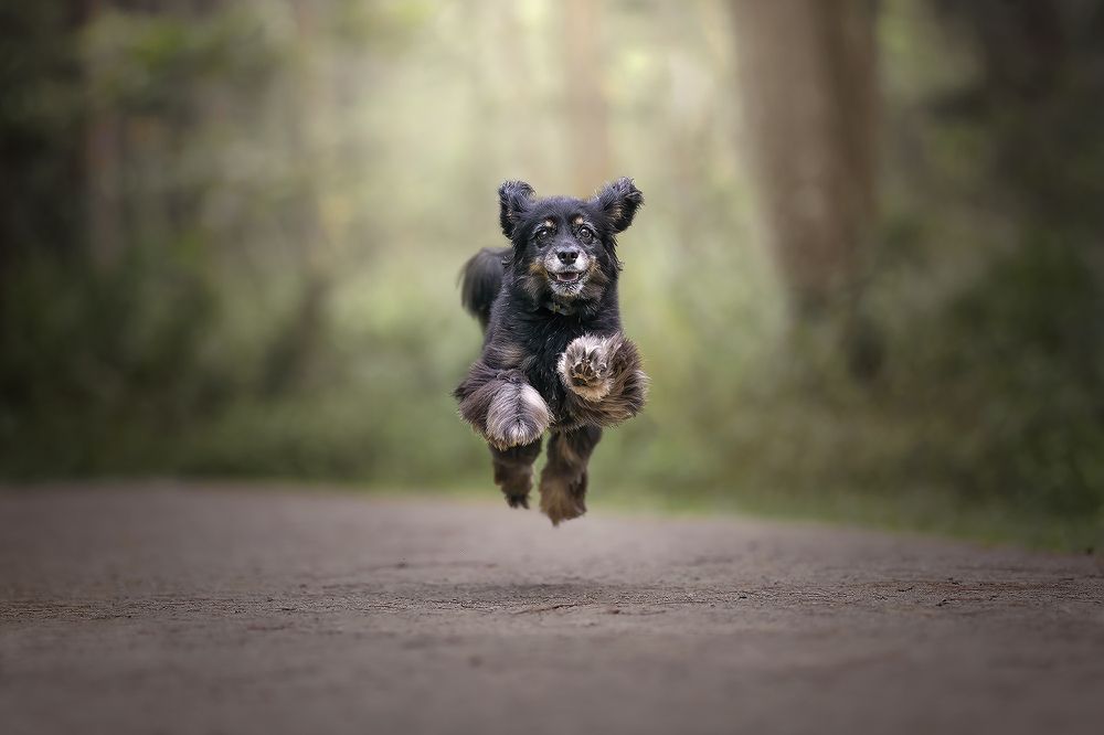 Фотография автора Bernard Sim