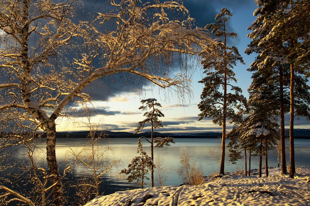 Photograph by Николь Плисовская