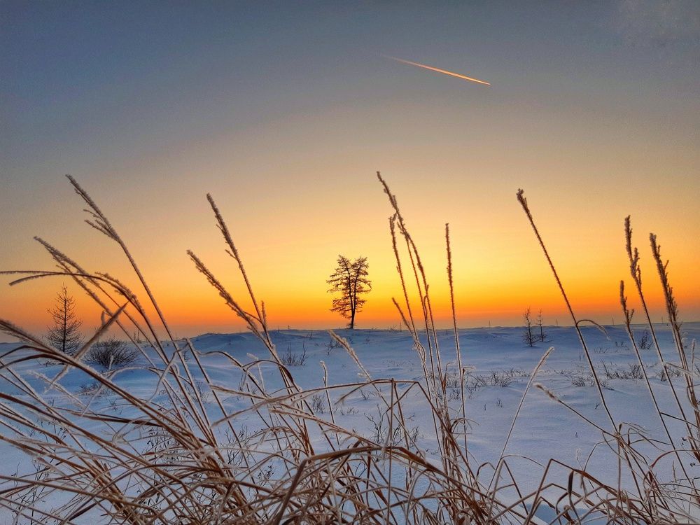 И тихо падает звезда в тени уснувшей природы