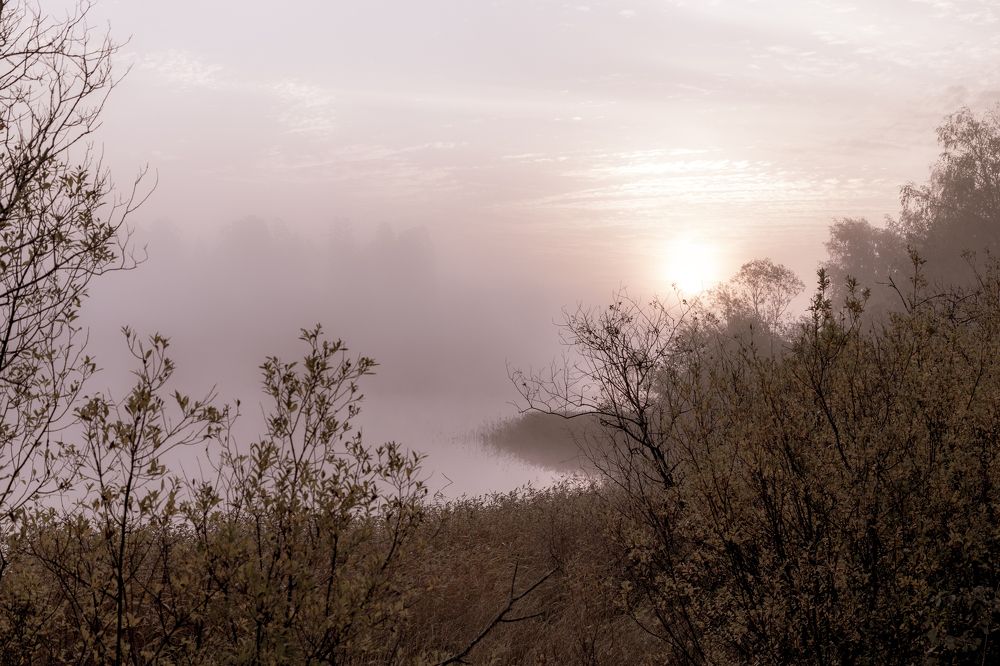 Туманный рассвет в Карелии