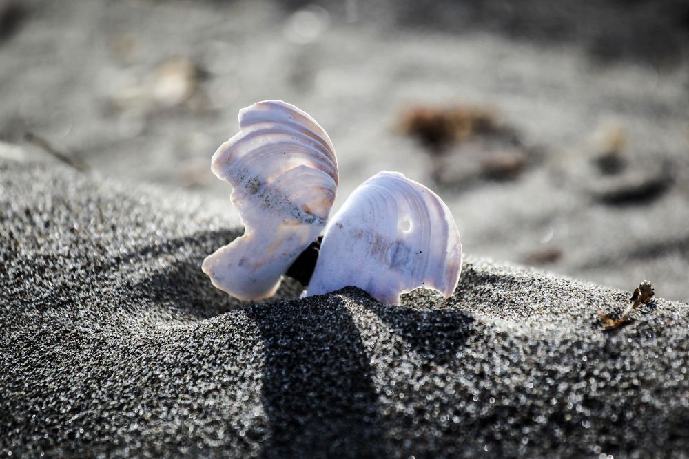 Фотография автора Артур Петросян