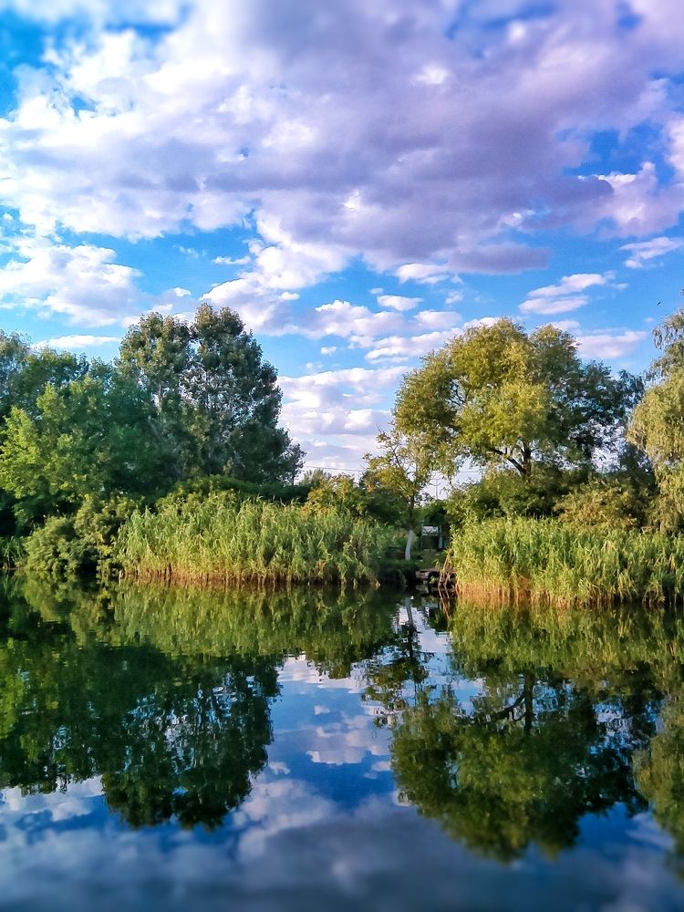 Безмятежность