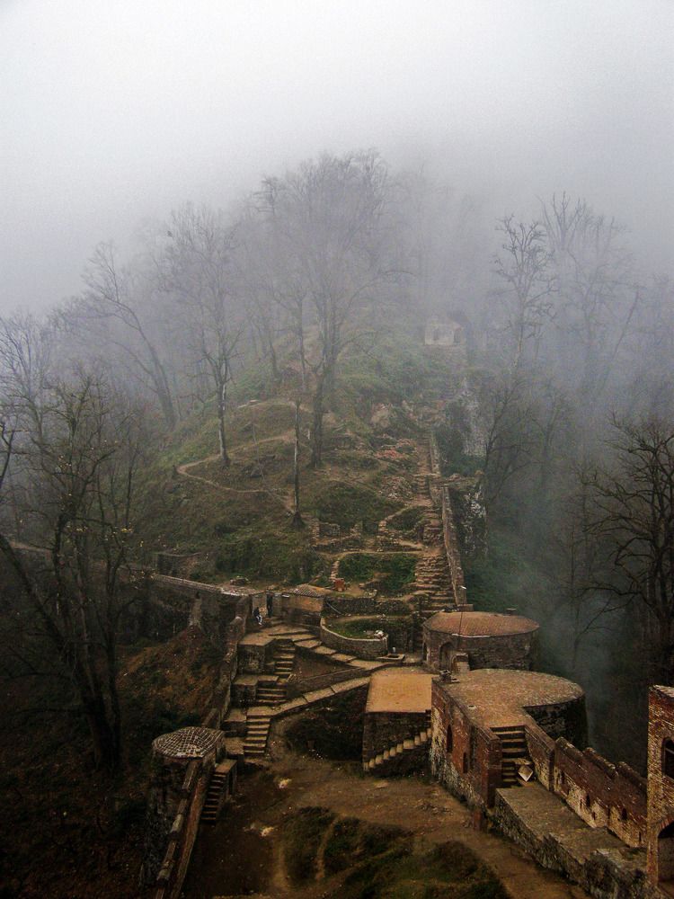 Photograph by Mozhgan Sadeghi