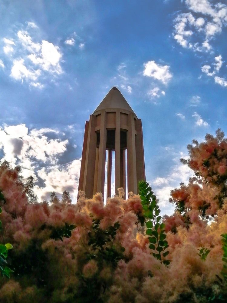 Photograph by Mozhgan Sadeghi