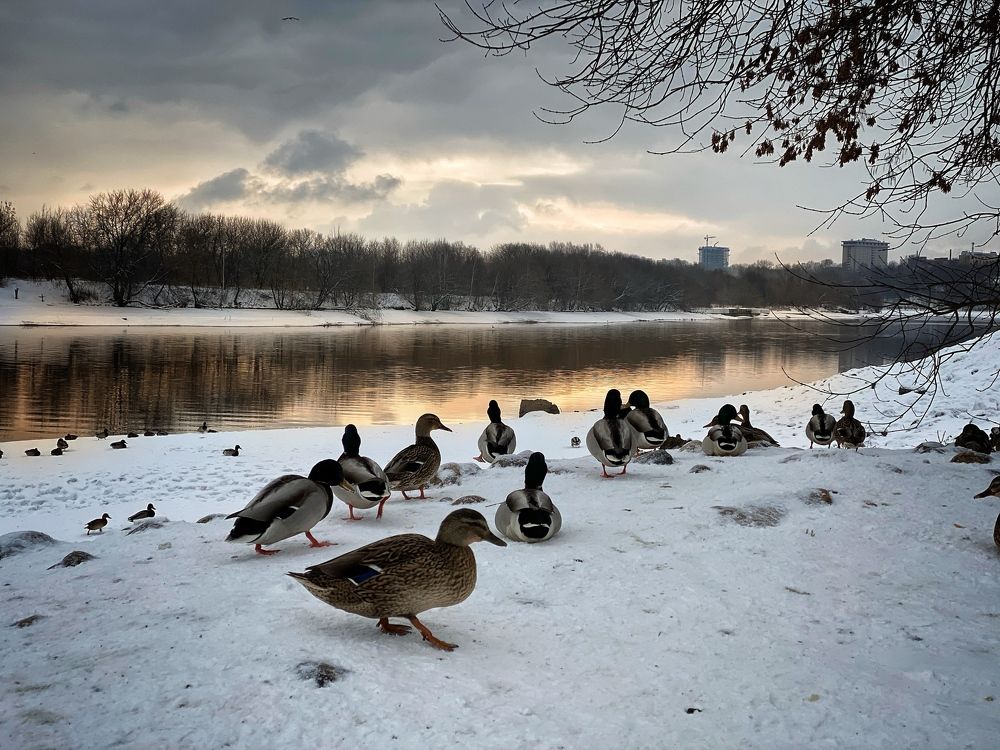 Photograph by Мария Поливода