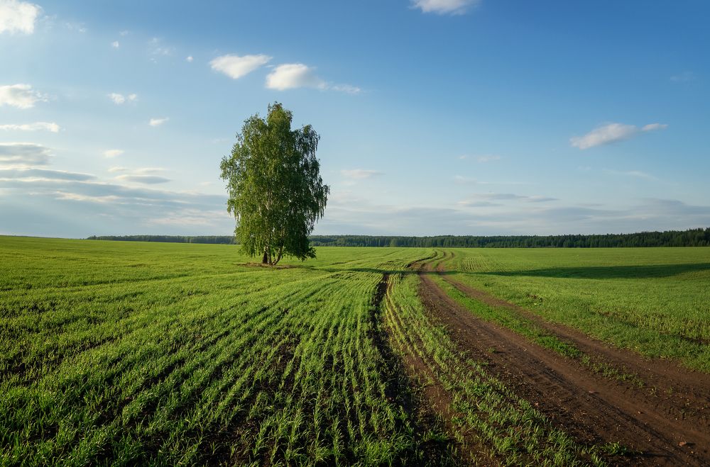 Фотография автора Александр Рудный