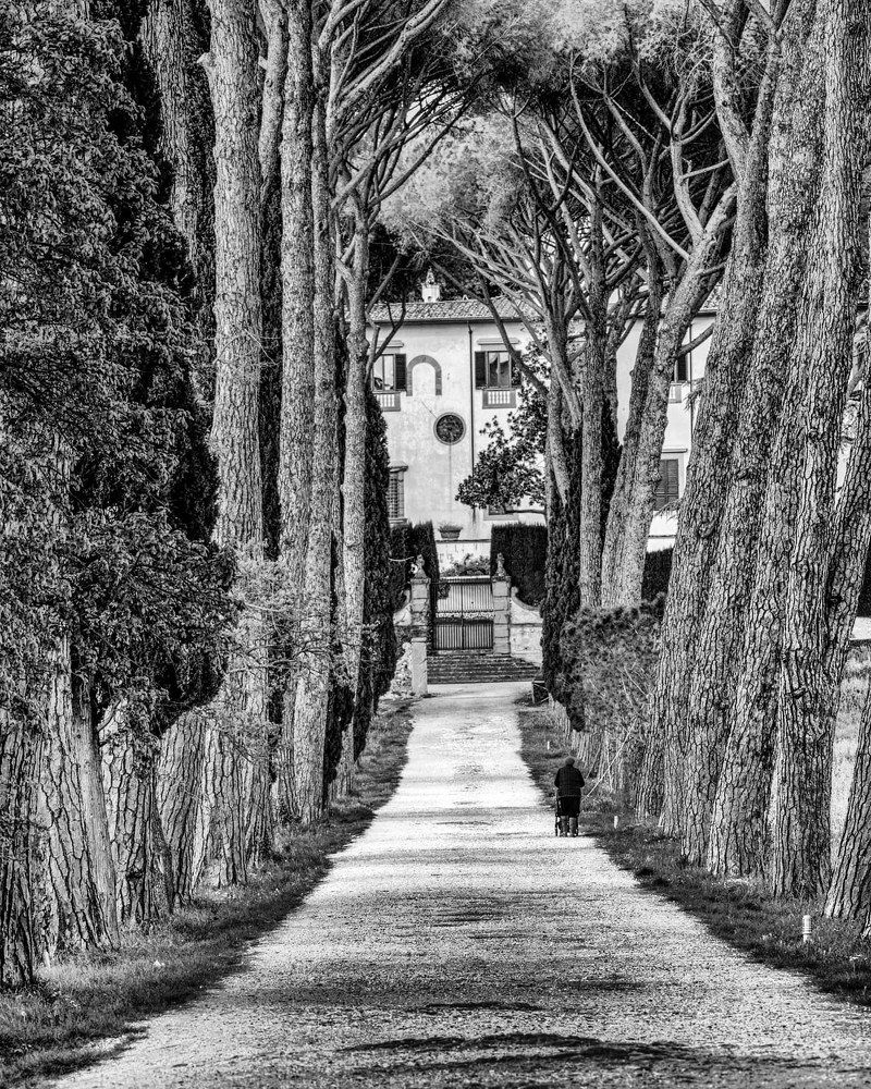 Photograph by SIMONE CIULLI