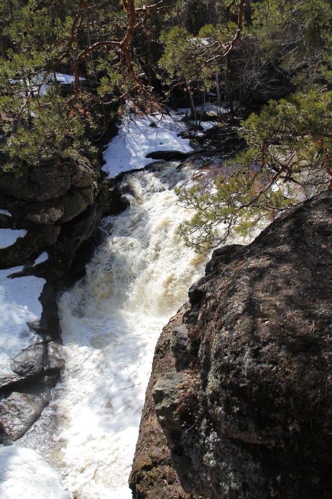 Photograph by Марина Савченко