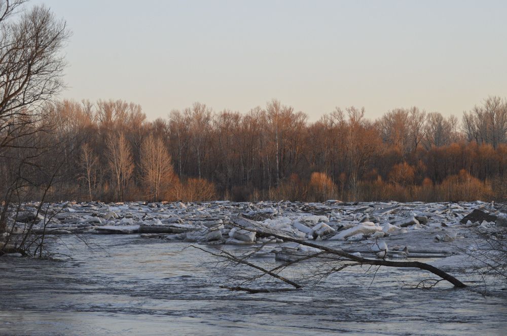 Photograph by Иван Паутов