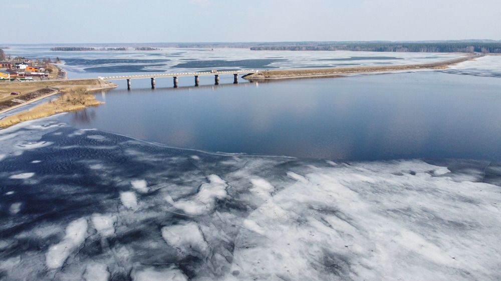 Фотография автора Светлана Чижикова