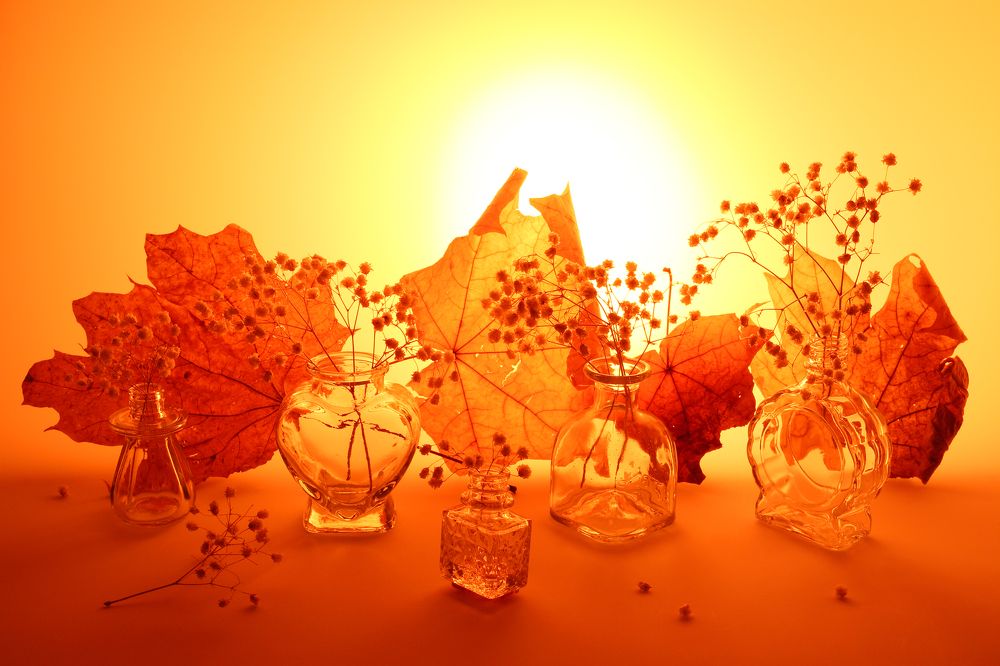 Огненная осень