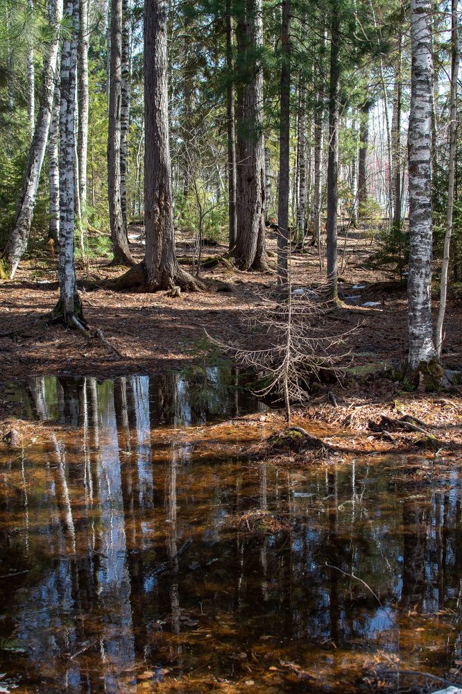 Photograph by Olga Zlobina