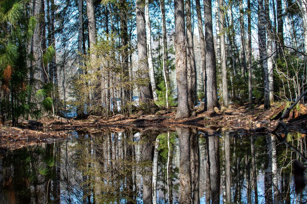 Photograph by Olga Zlobina