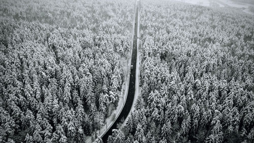 Фотография автора Светлана Чижикова