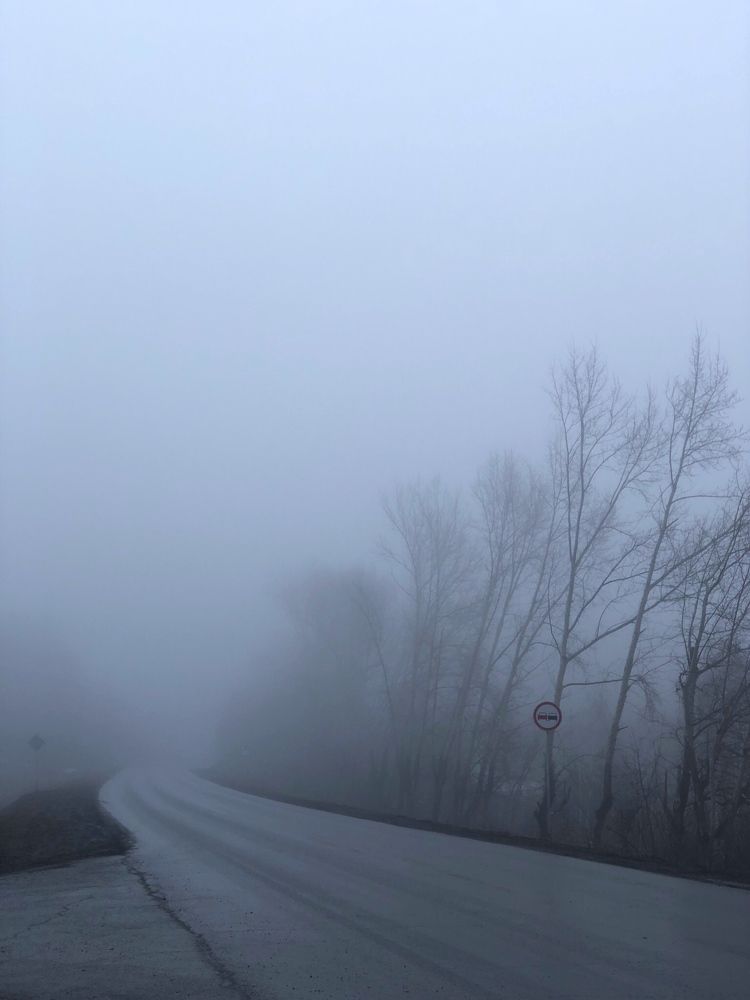 Photograph by Елена Змейкова