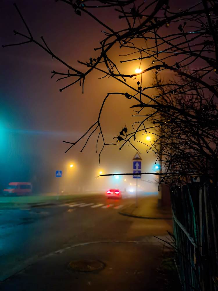 Фотография автора Светлана Чижикова