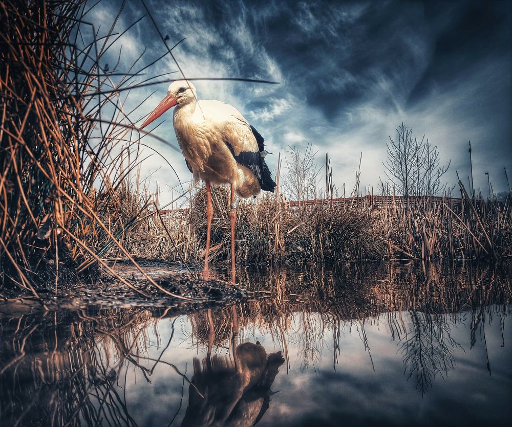 Photograph by Сергей Сократ