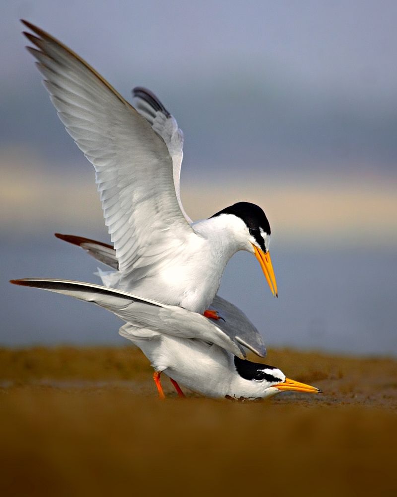 Photograph by Kayes Md Imrul