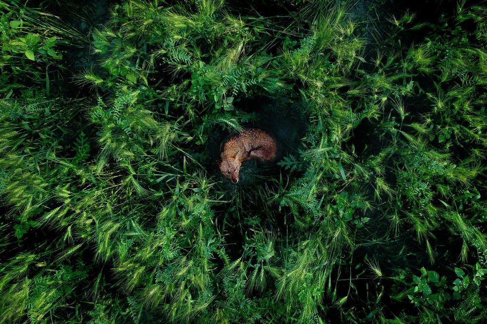 Photograph by Kayes Md Imrul