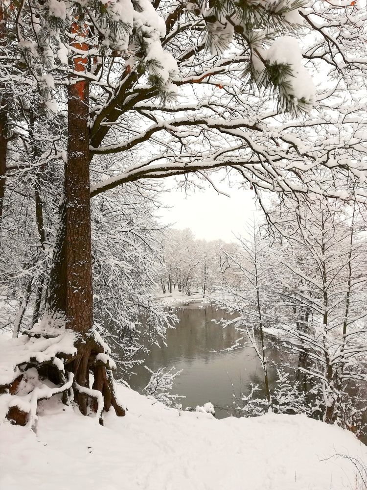 Зимняя сказка