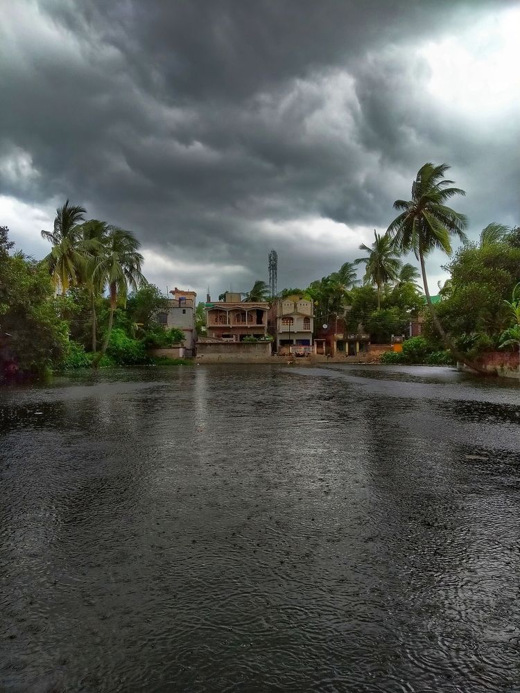 Beauty of rainy season