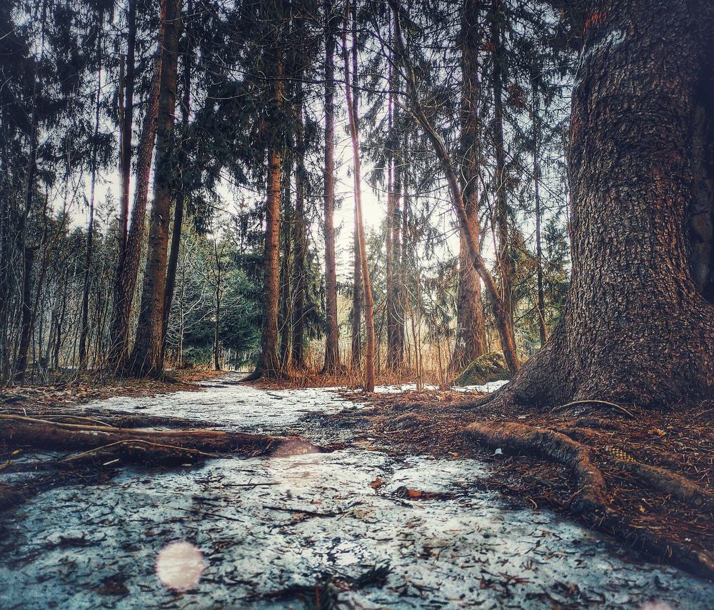 Photograph by Сергей Сократ