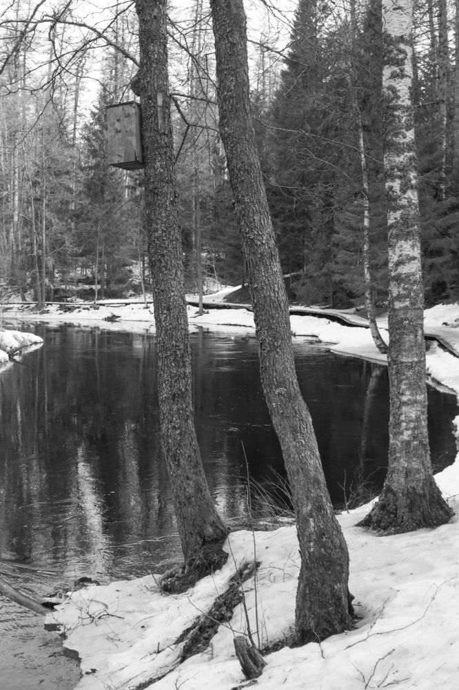 Photograph by Nadezhda Bakina