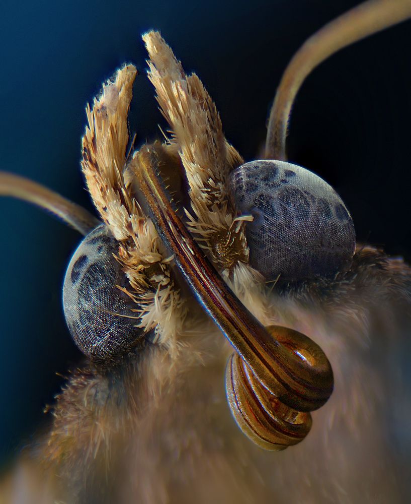 Photograph by Eduardo Modolo