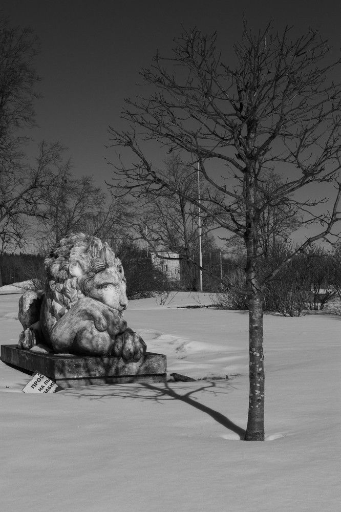 Photograph by Nadezhda Bakina