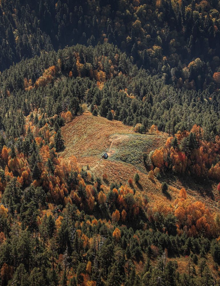 Photograph by Владимир Кульбит