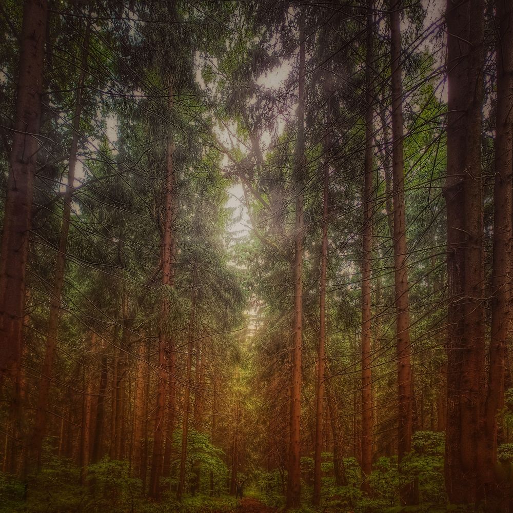 Photograph by Виктория Мамлеева