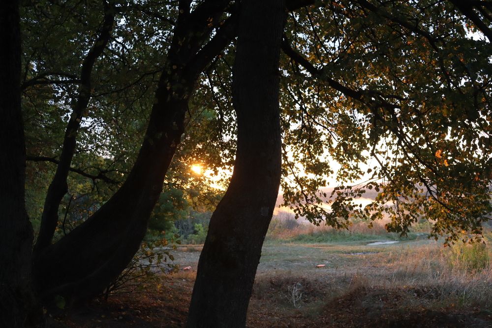 Photograph by Елена Квасова