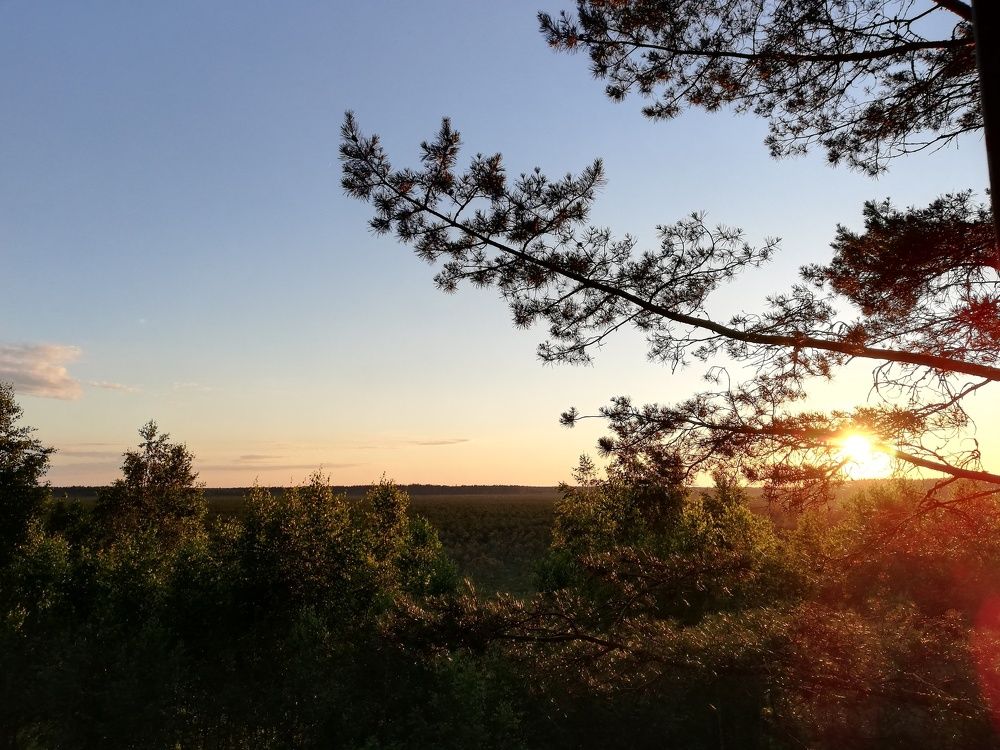 Photograph by Виктория Красногир