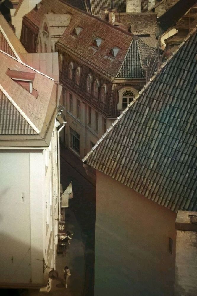 Патерны в  красивом зеленом цвете