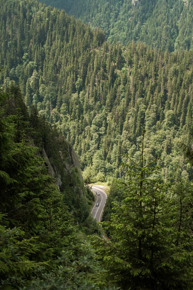 Photograph by Ania Ciolacu