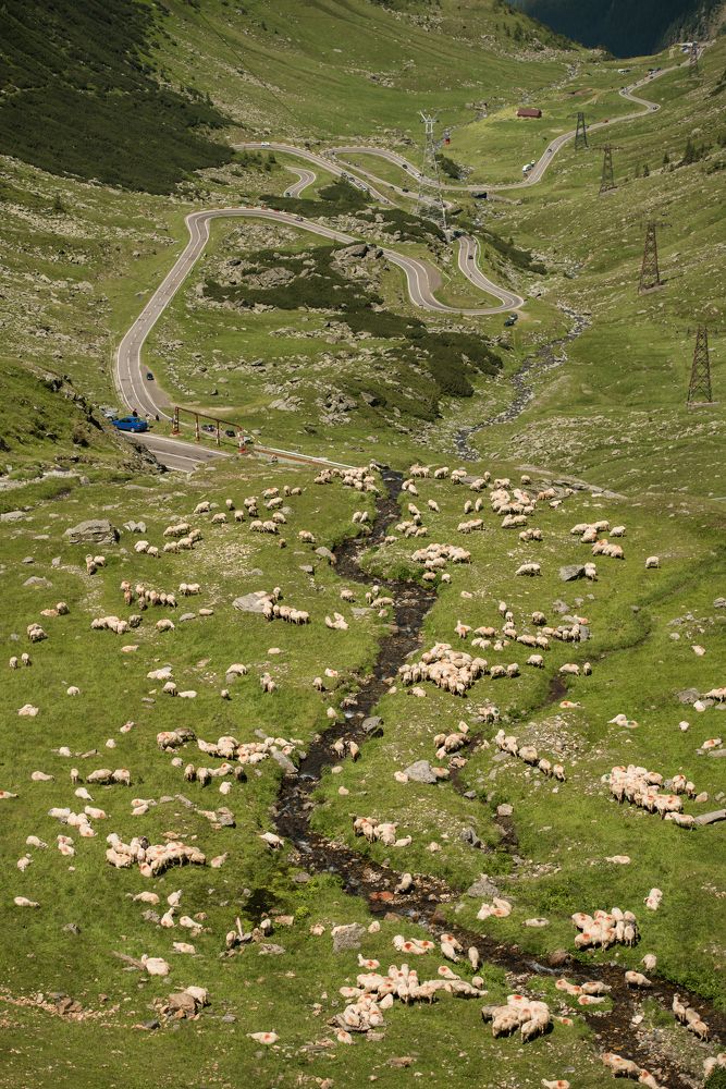 Photograph by Ania Ciolacu