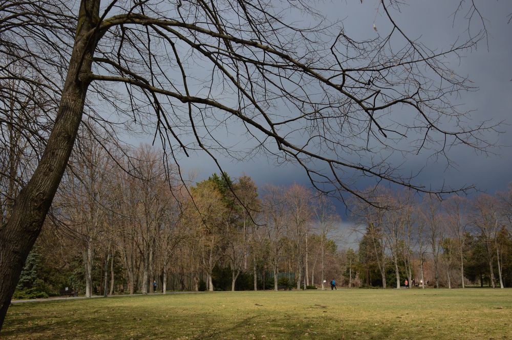 Photograph by Юрий Солодовников