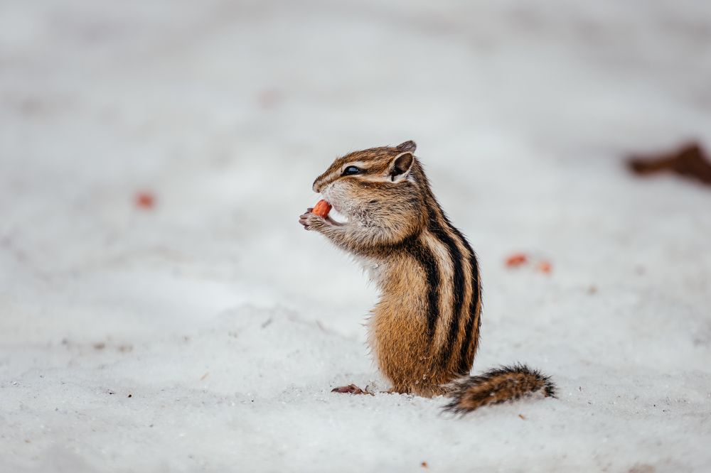 Photograph by Оксана Корчагина