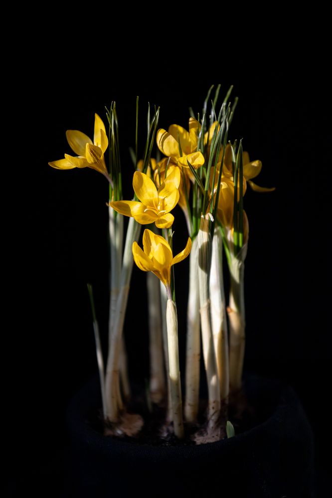 Photograph by Оксана Корчагина