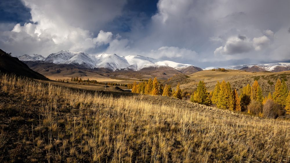 Фотография автора Александр Рудный