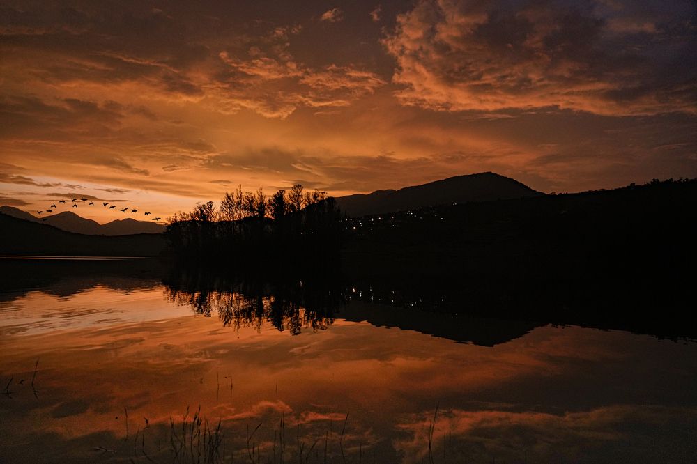 Photograph by MEET Gohel