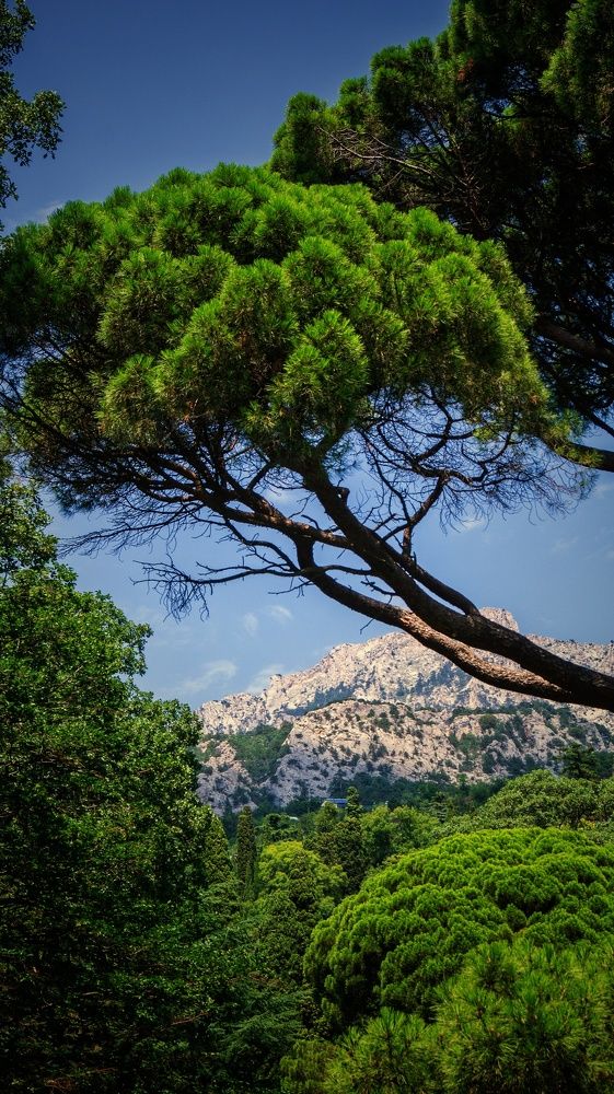 Photograph by Евгений Калагаев