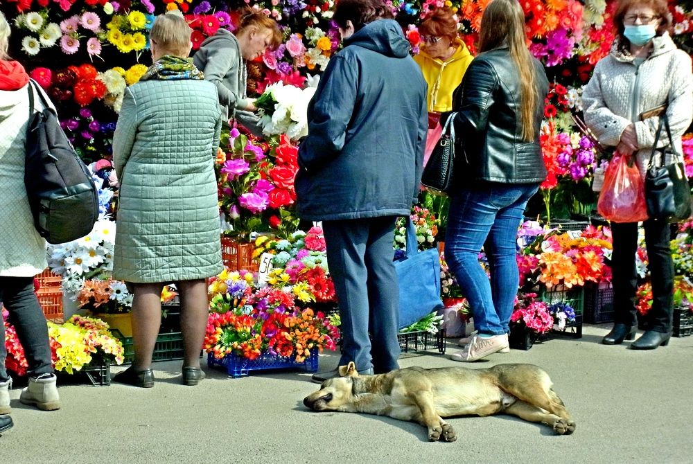 ЖИЗНЬ УДАЛАСЬ