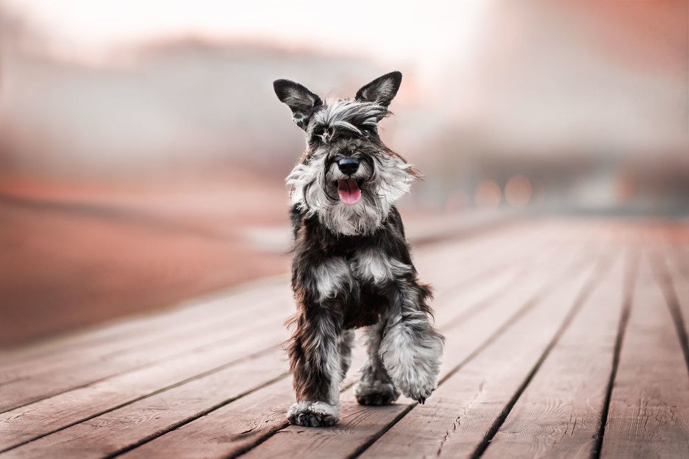 Photograph by Анна Пушина