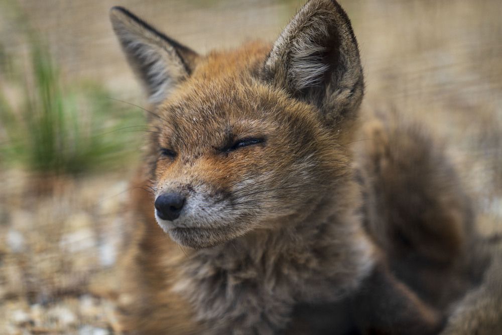 Photograph by Márta Csendes