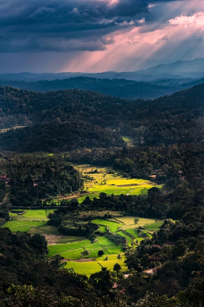 Photograph by Asamanj Maiti