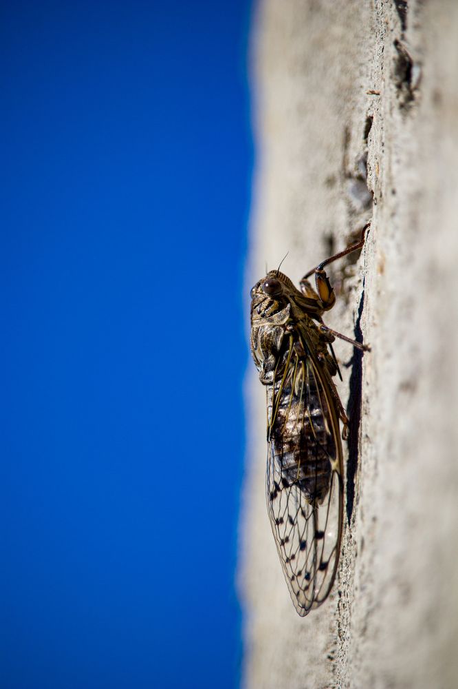 Photograph by Андрей Хаецкий