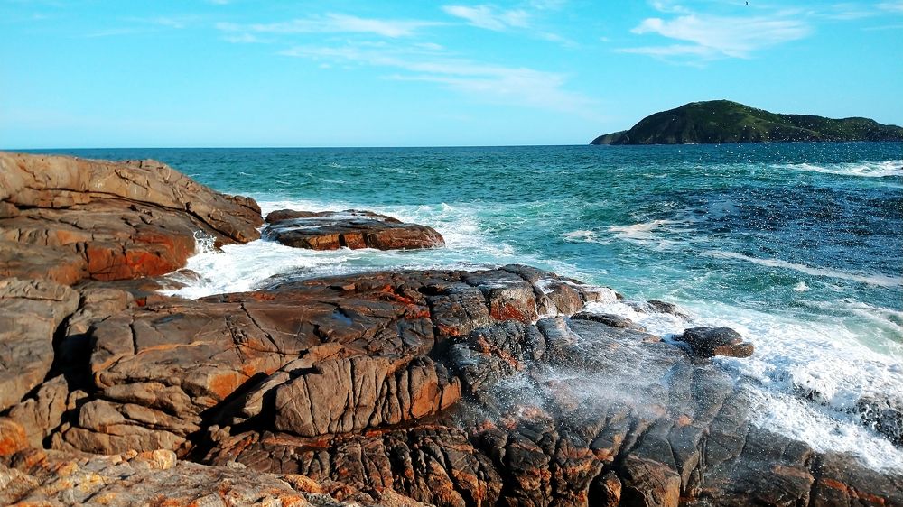 Photograph by Tatiana Barthem