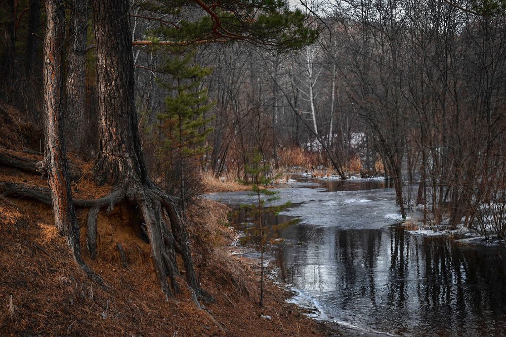 Горная речка